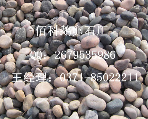 購買鋪路鵝卵石在哪里能買到？