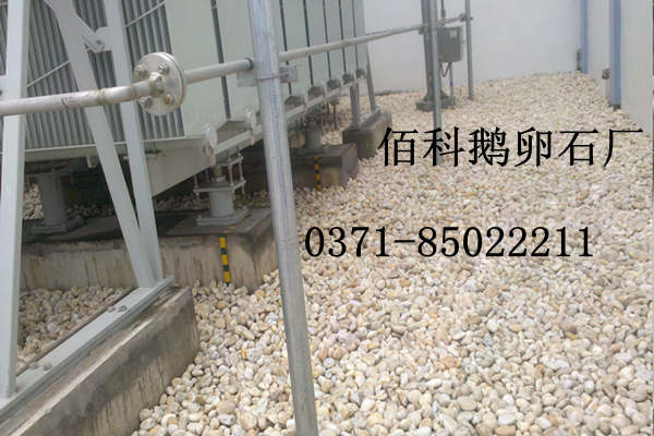 買高鐵變壓器鵝卵石找哪家鵝卵石廠可靠？