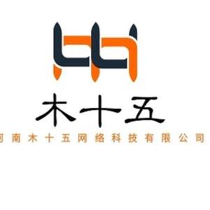 河南木十五網絡科技 技術驅動創新，引領數字化未來